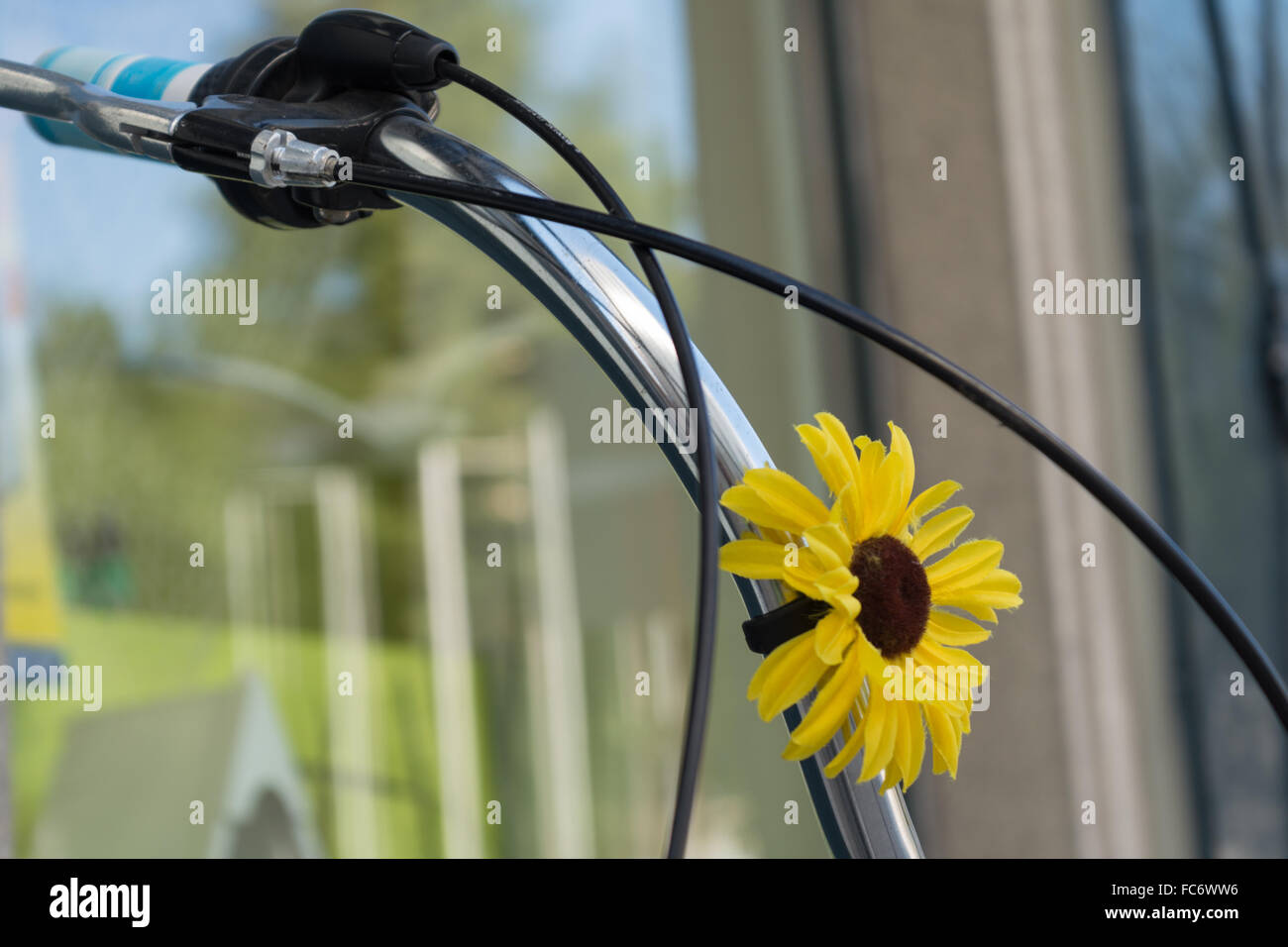 handlebar decorated with flower Stock Photo