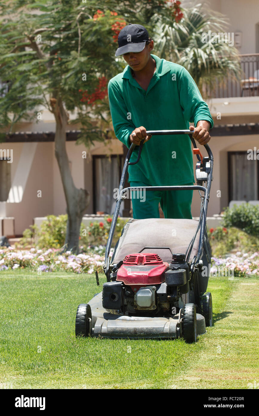 Male gardener cutting grass with lawn mower Stock Photo
