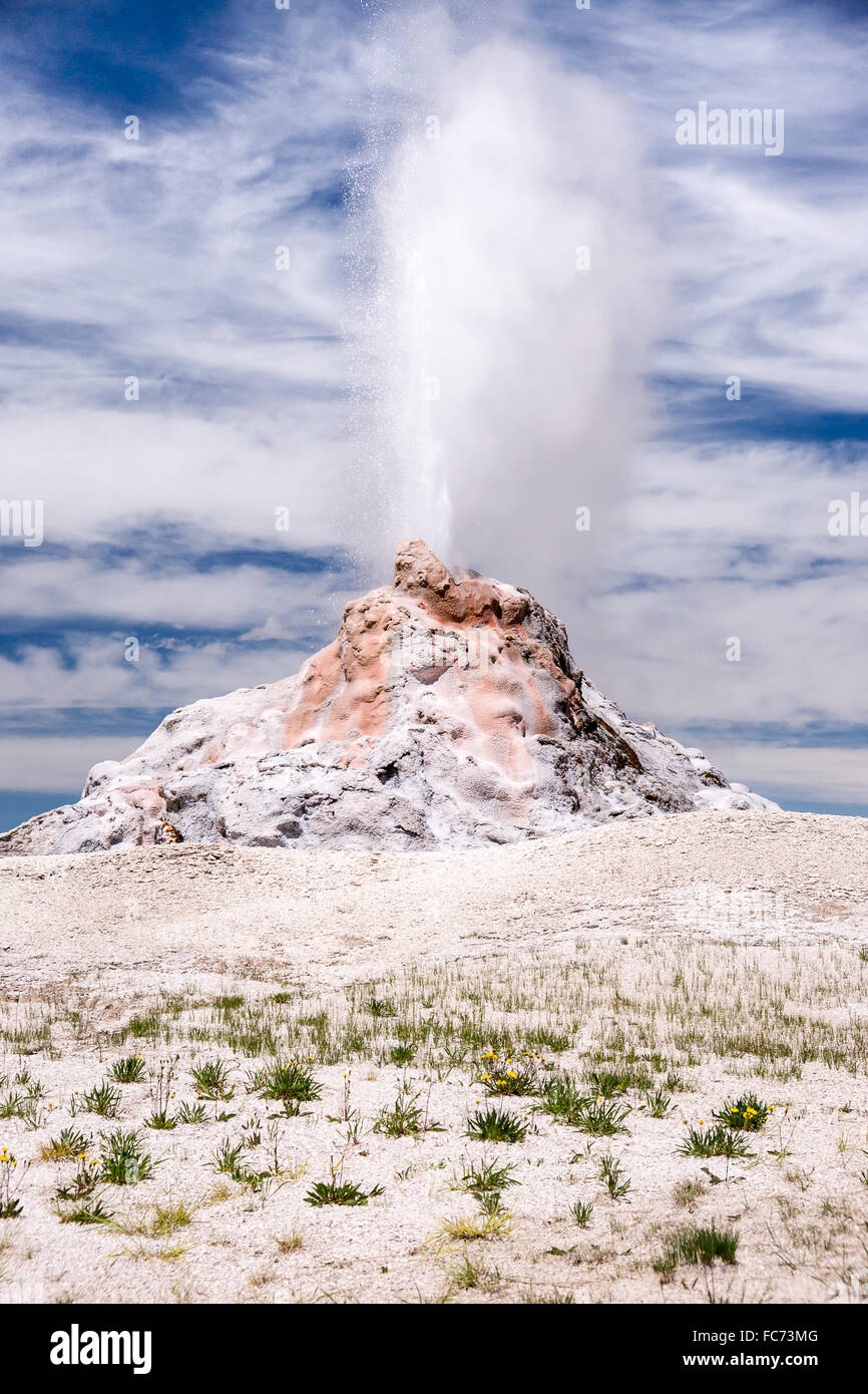 Yellowstone's White Dome Geyser Stock Photo Alamy