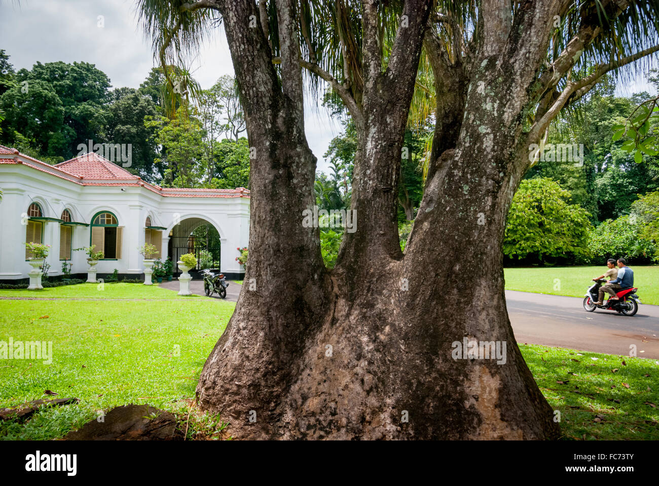 A scenery at Bogor Botanic Gardens in Bogor, West Java, Indonesia Stock ...
