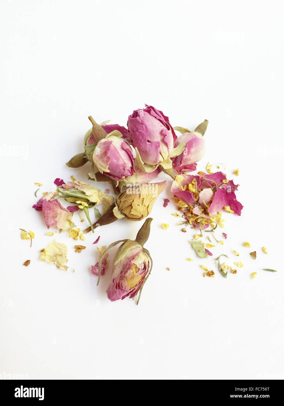 Dried flower petals and pods - Smartphone Captured Stock Image