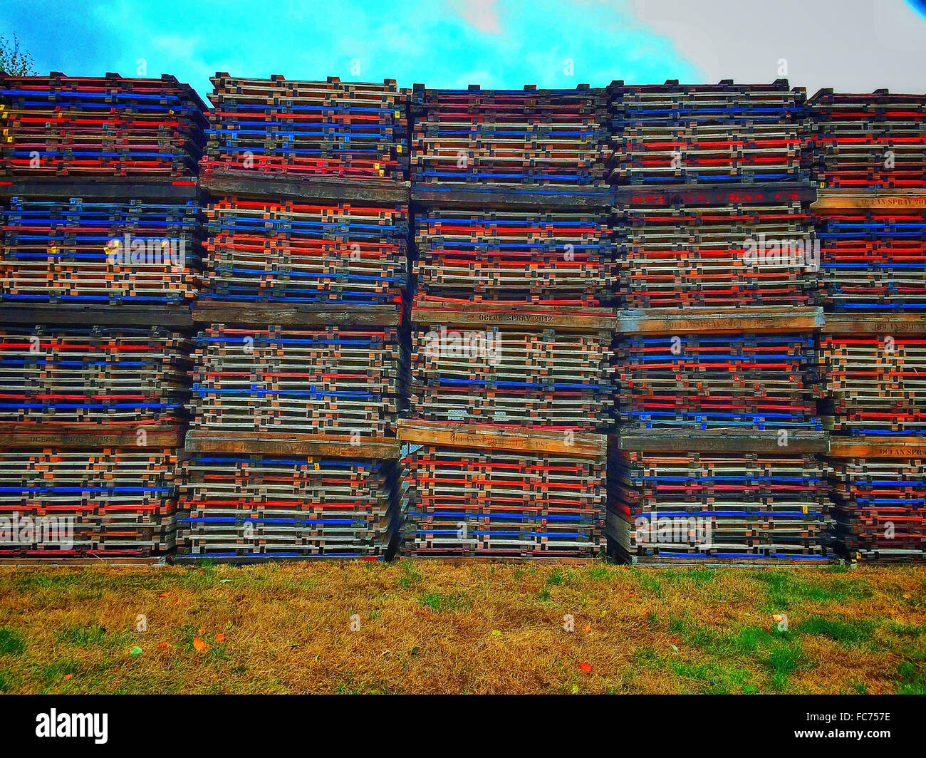 Pallets stacked in field - Smartphone Captured Stock Image