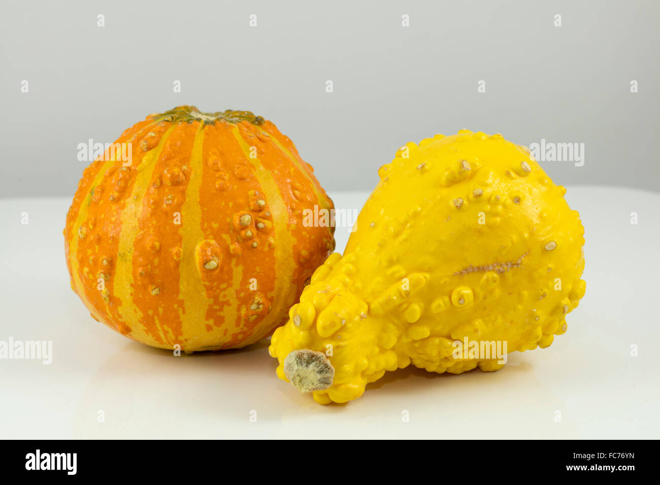 Yellow, Orange and bumpy gourd used for decor or cooking Stock Photo