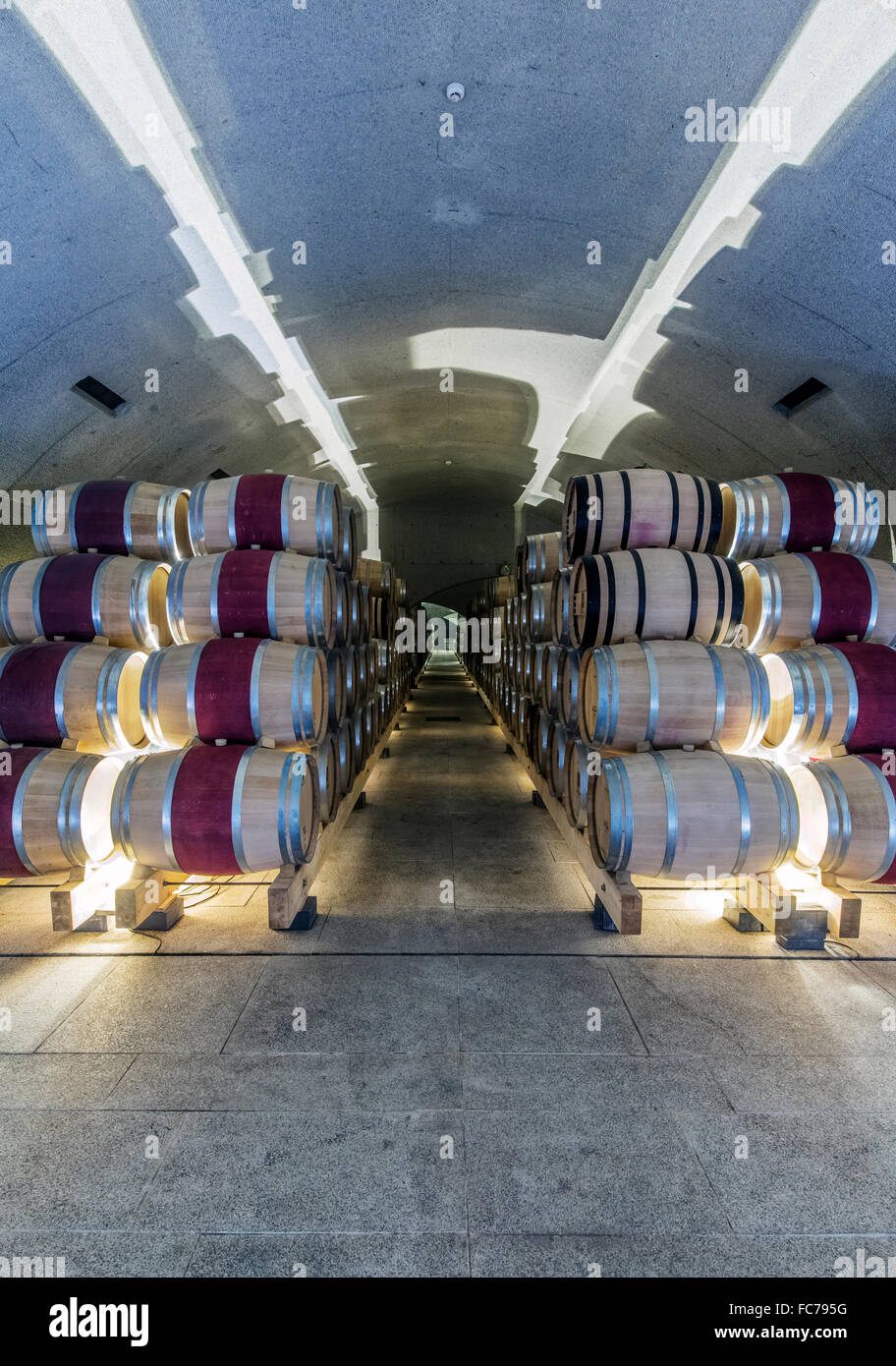 Barrels of wine aging in wine cellar Stock Photo