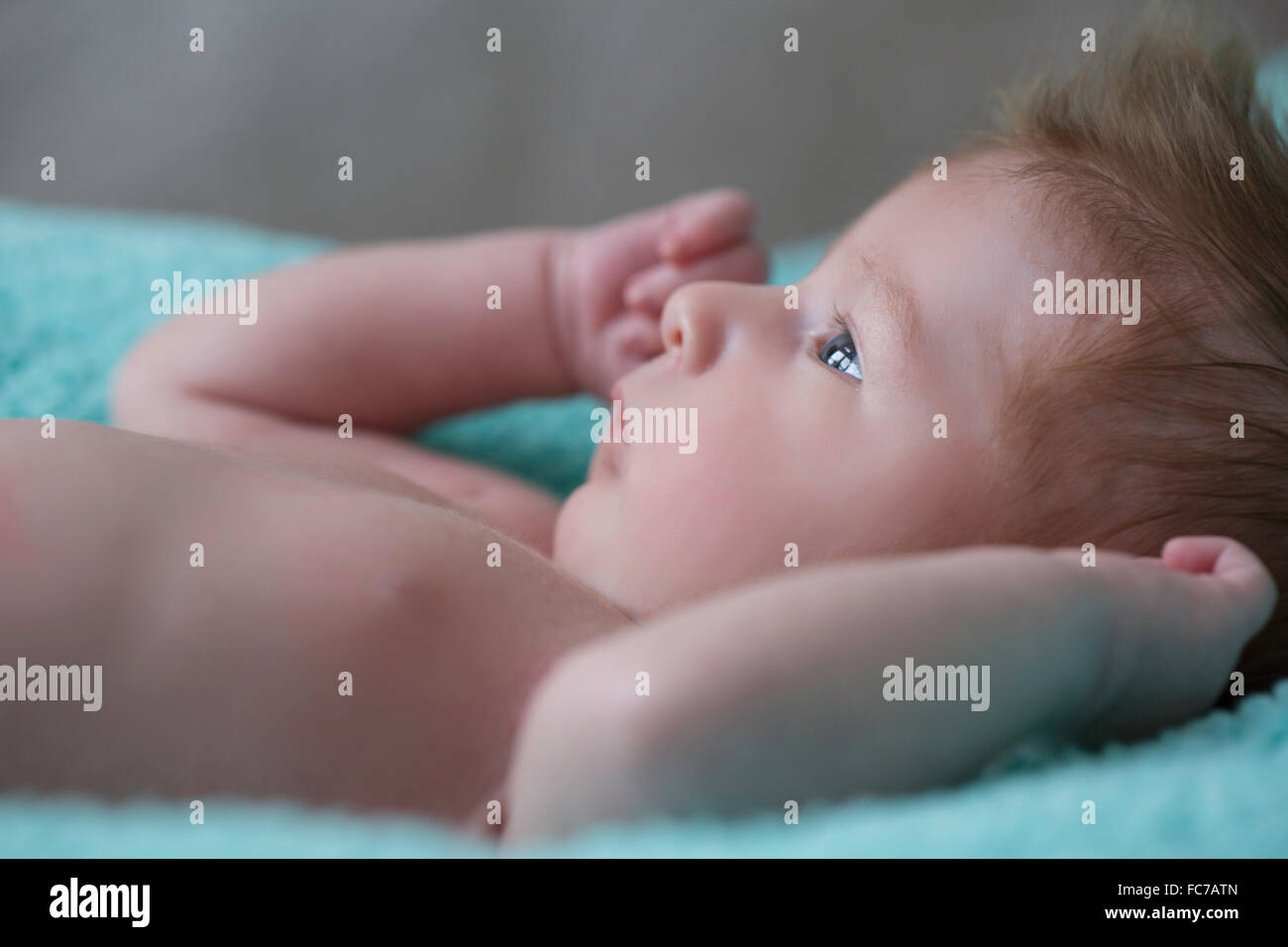 One month old baby boy stock photo alamy
