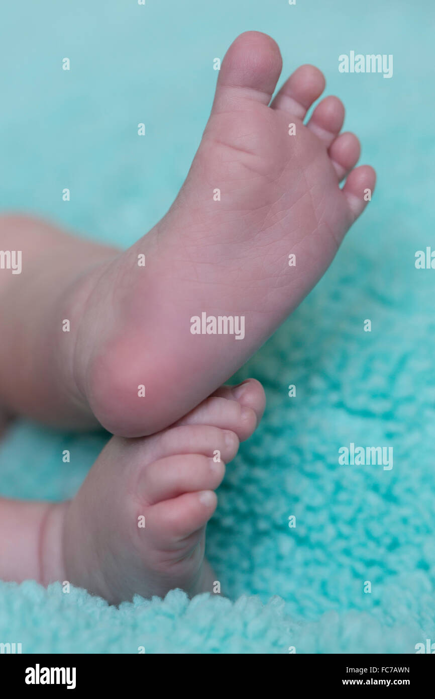 Close up view of tiny feet and toes of a one month old baby boy Stock Photo