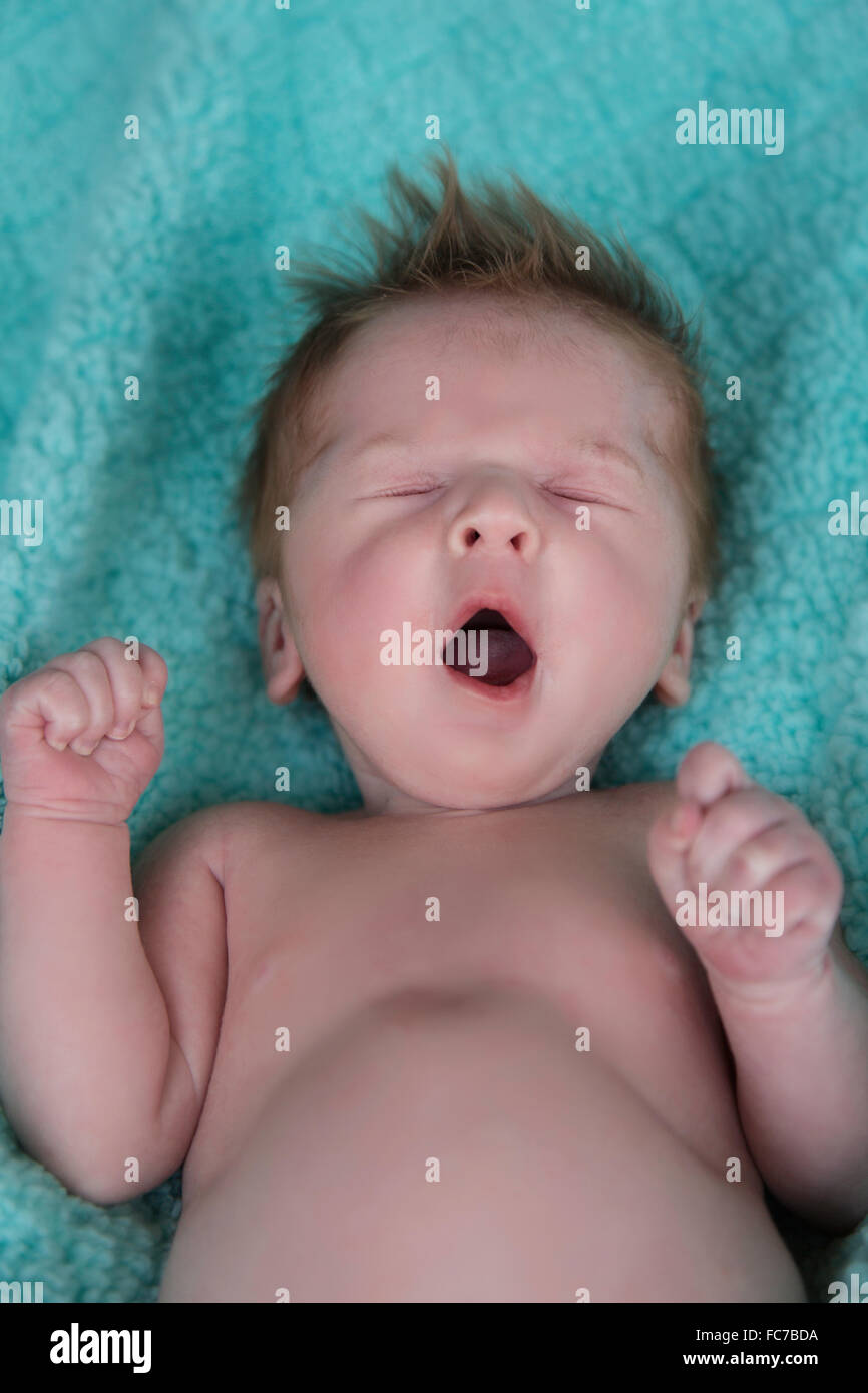 One month old baby boy yawning Stock Photo
