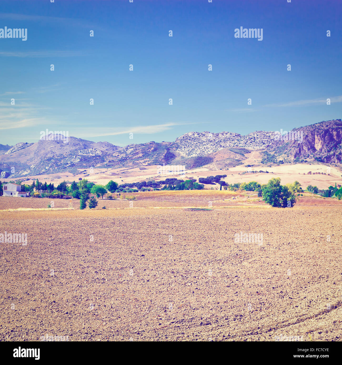 Plowed Fields Stock Photo