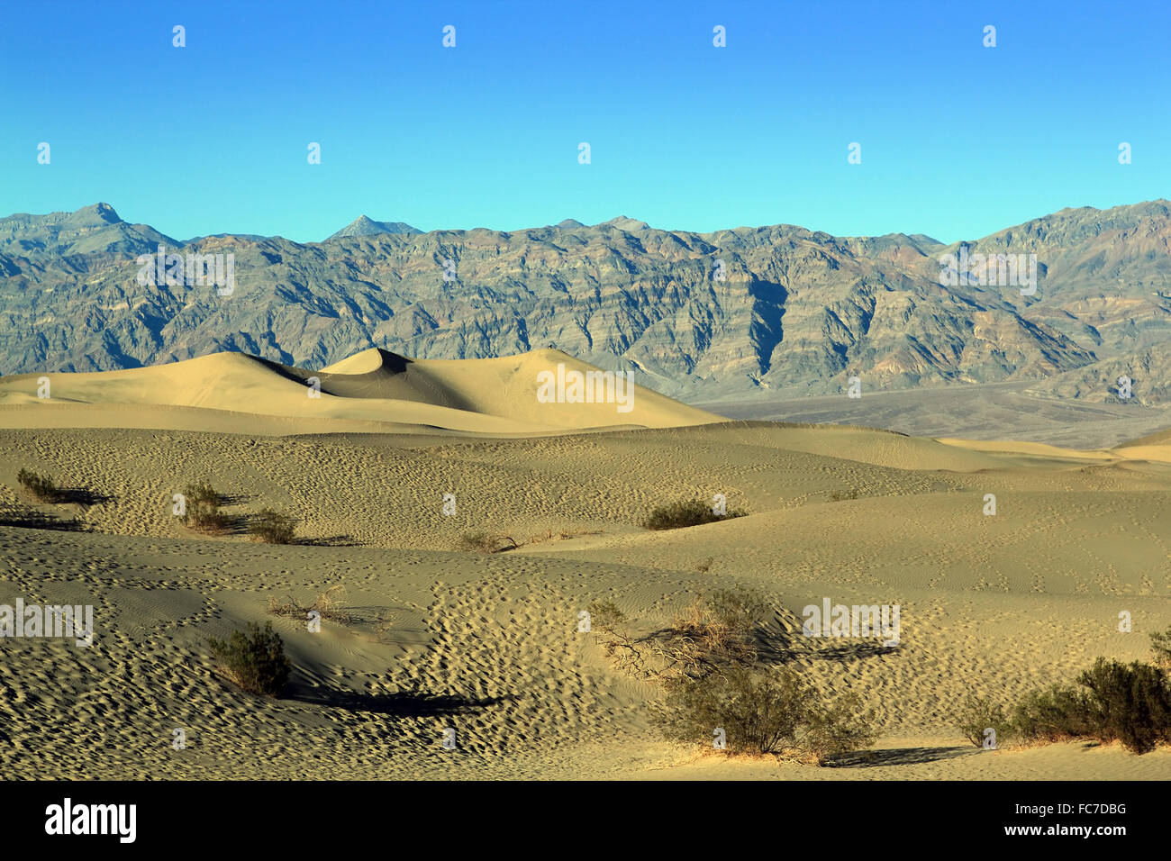 Death valley dunes vertical hi-res stock photography and images - Alamy