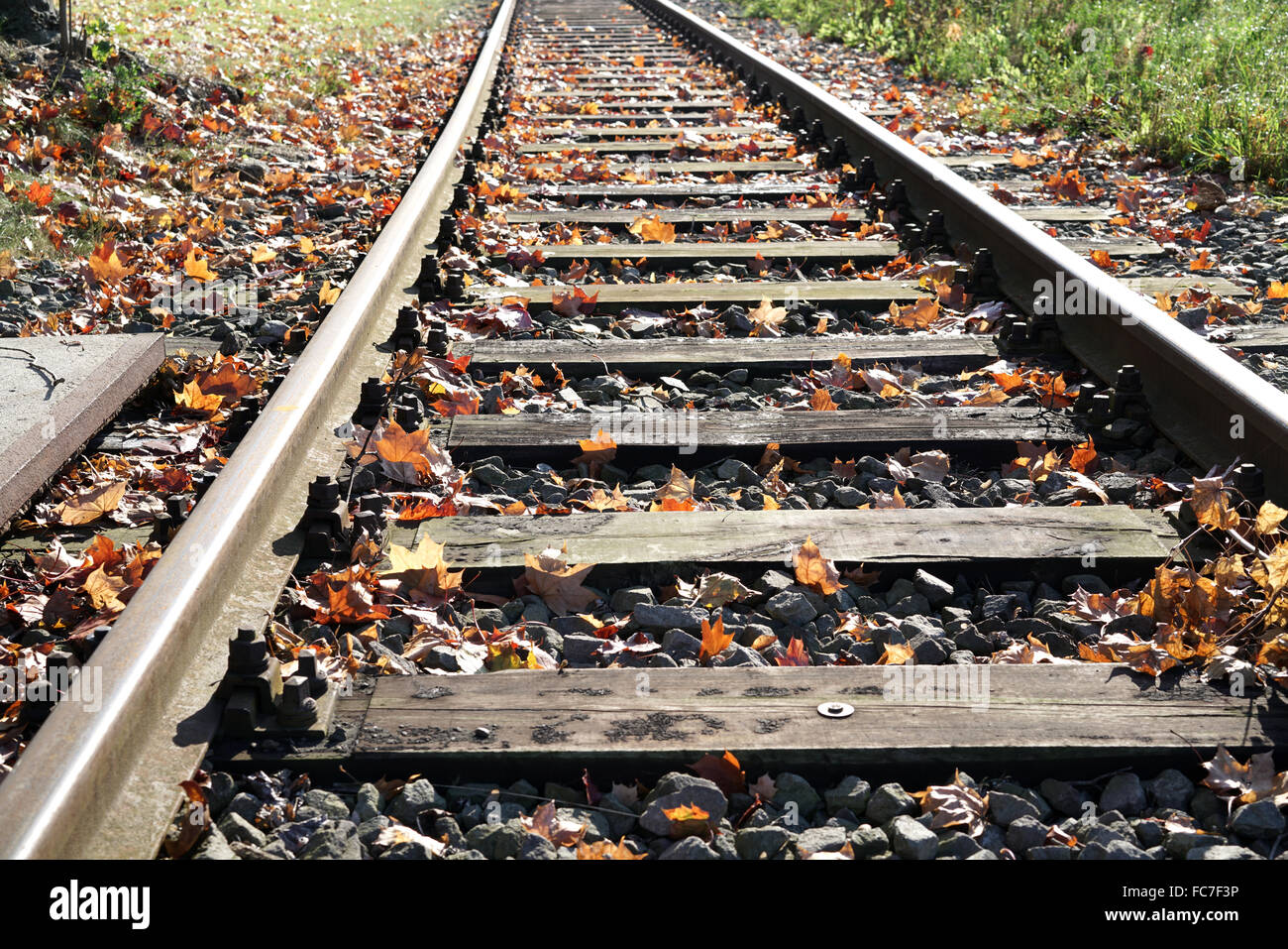 railroad tracks at the port of of magdeburg Stock Photo