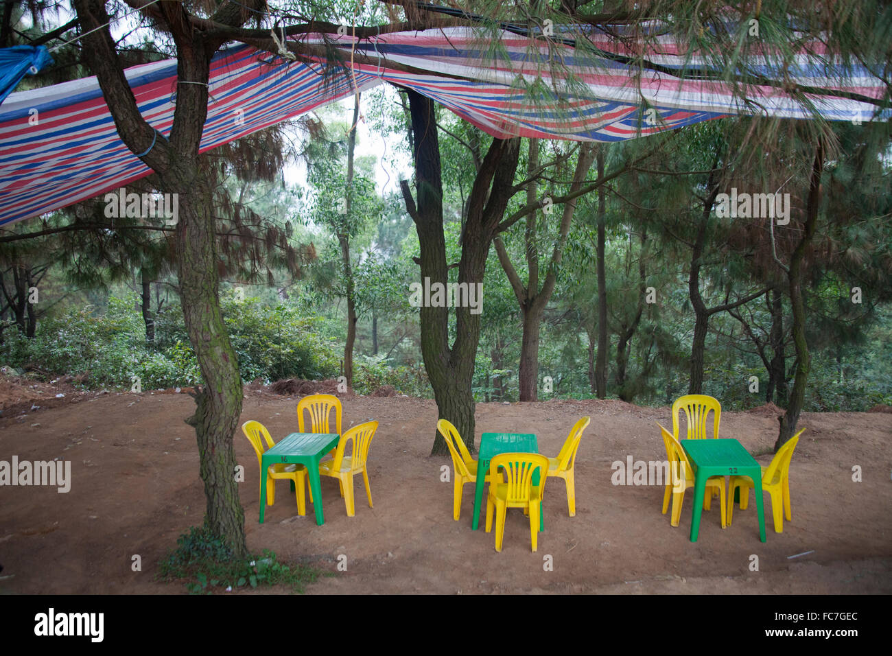 Tables and chairs under canopy in remote forest Stock Photo