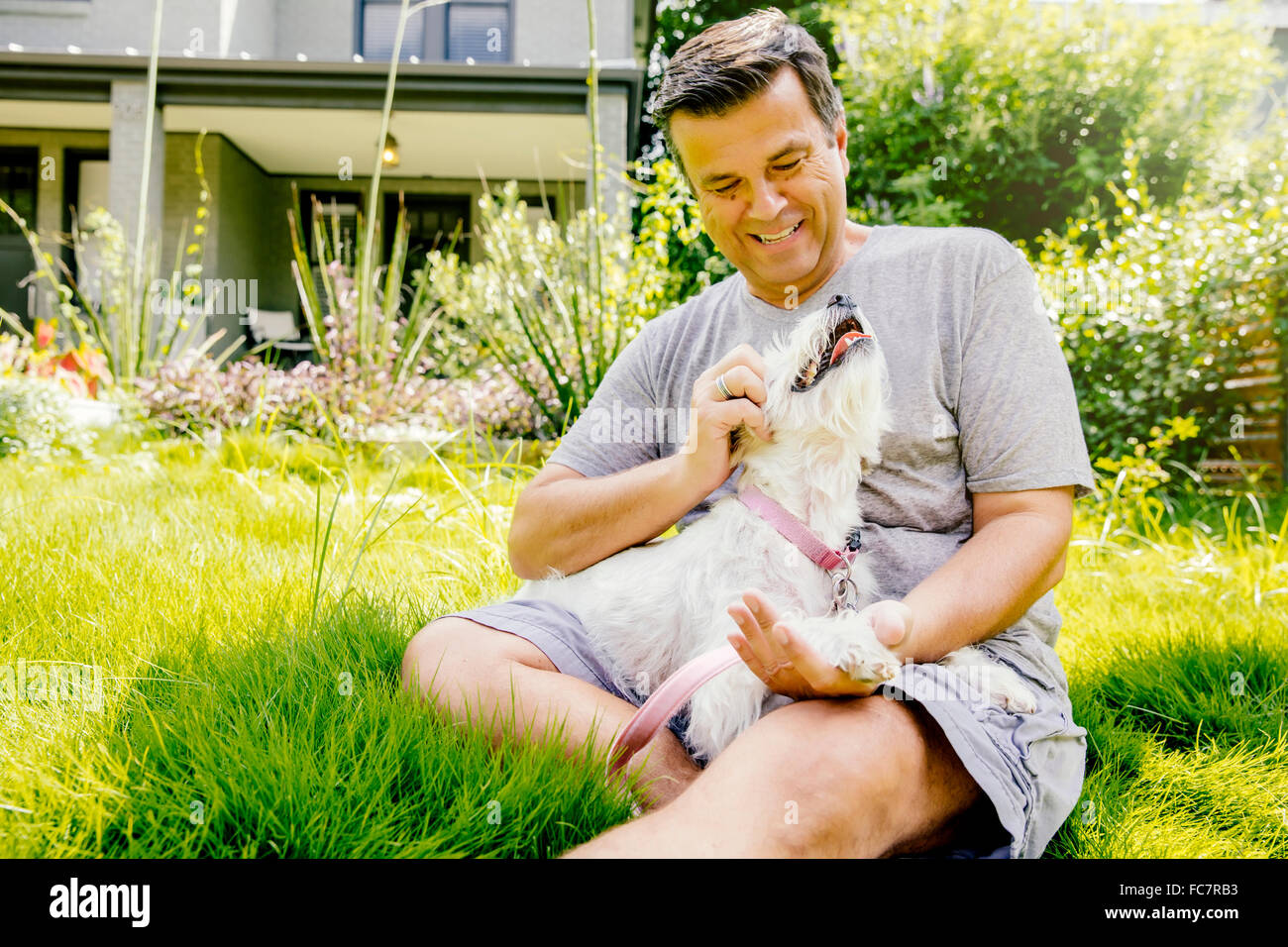 Caucasian man petting dog in grass Stock Photo