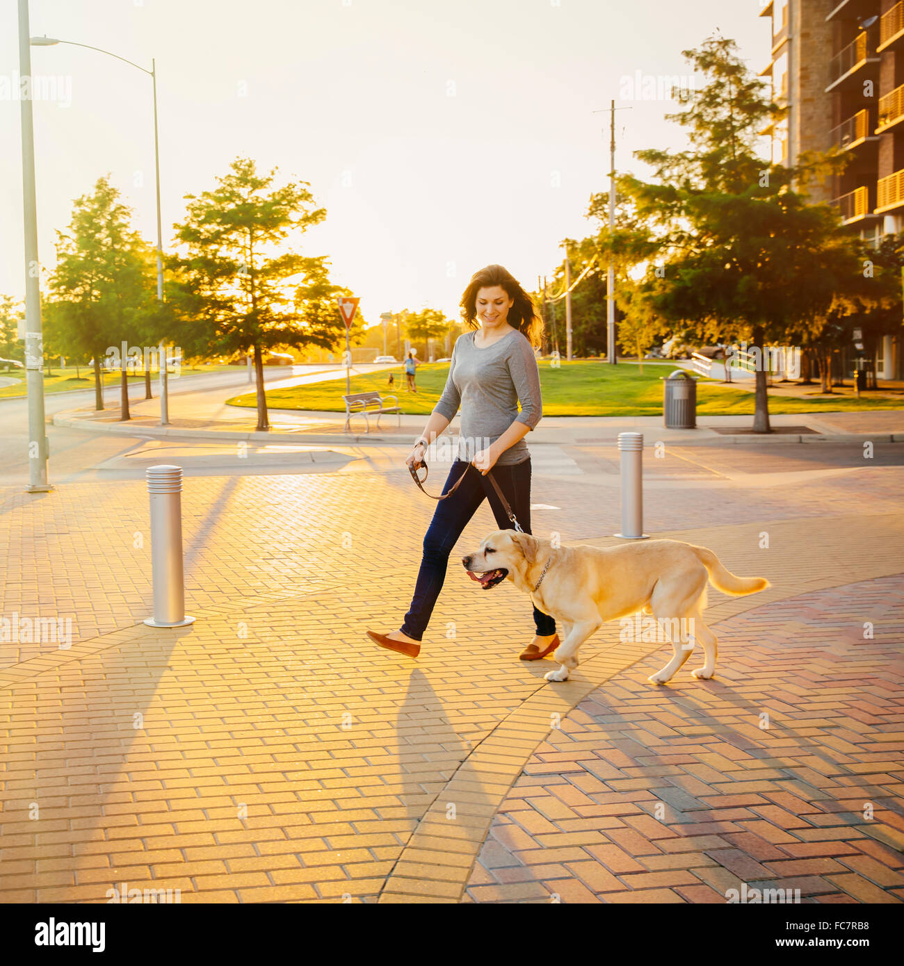 Caucasian woman walking dog on sidewalk Stock Photo