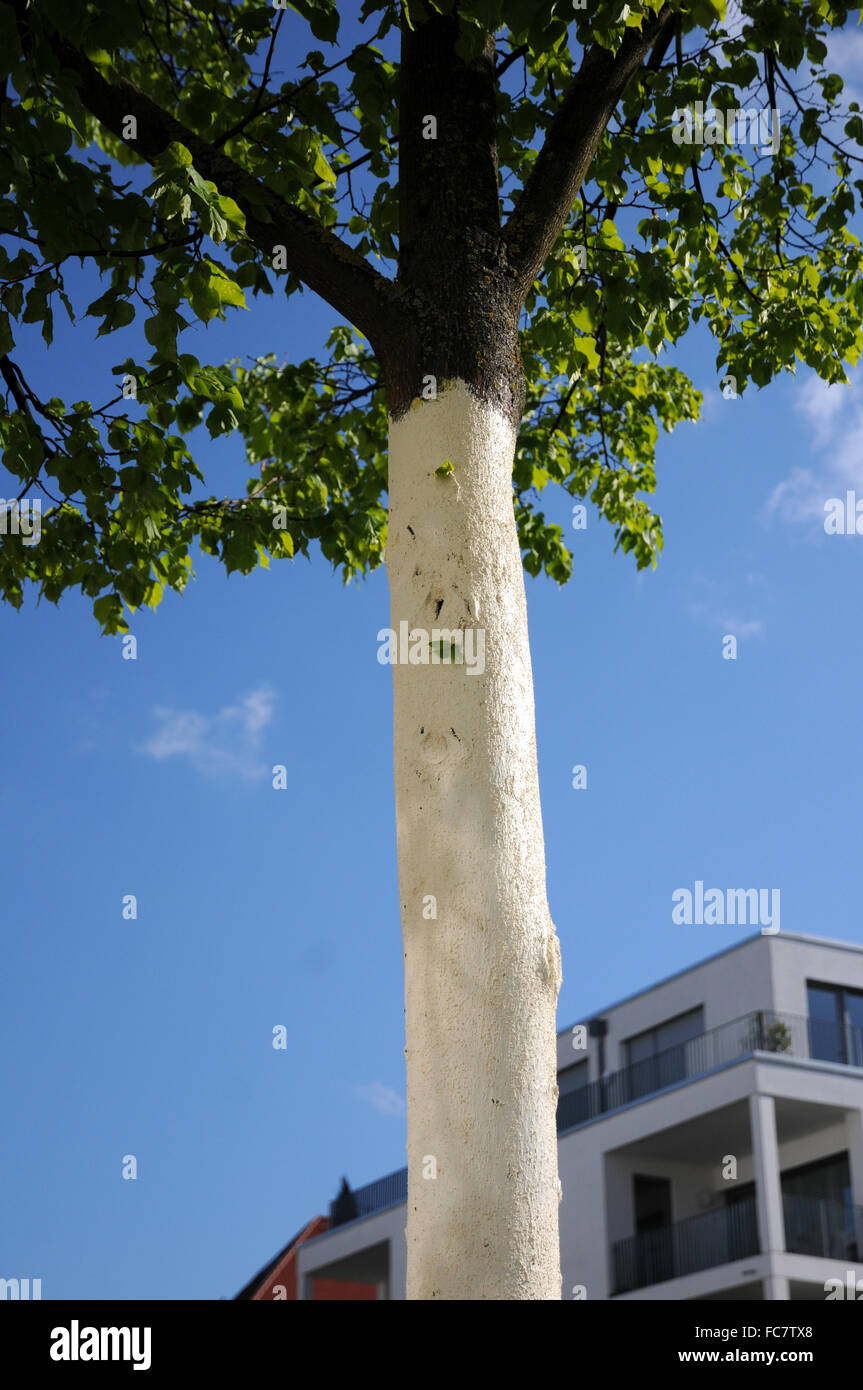 Bark protect Stock Photo