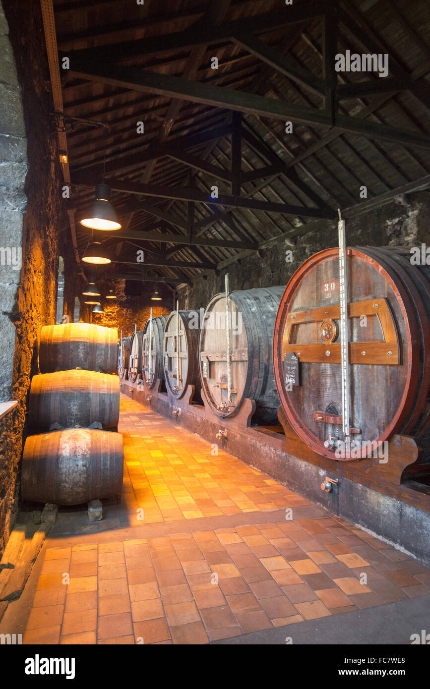 EUROPE PORTUGAL PORTO PORT WINE CELLAR Stock Photo Alamy