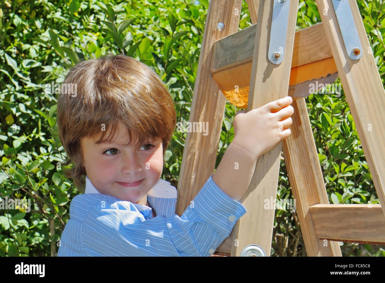 The charming boy on step-ladder Stock Photo