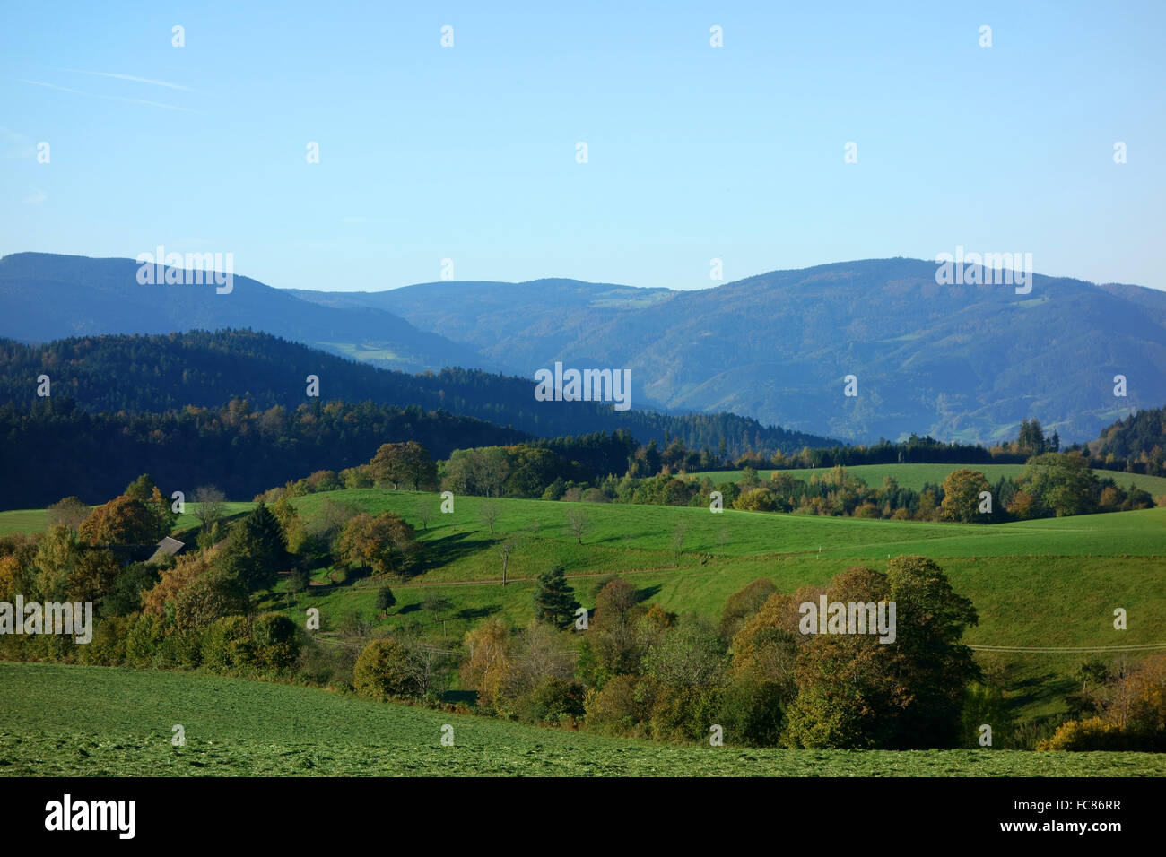 south black forest, germany Stock Photo