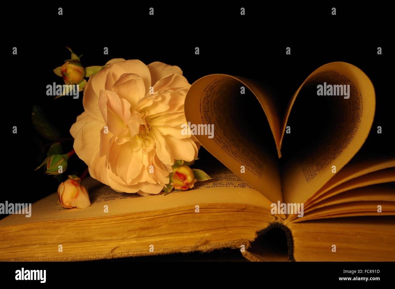 Sutterlin script hi-res stock photography and images - Alamy