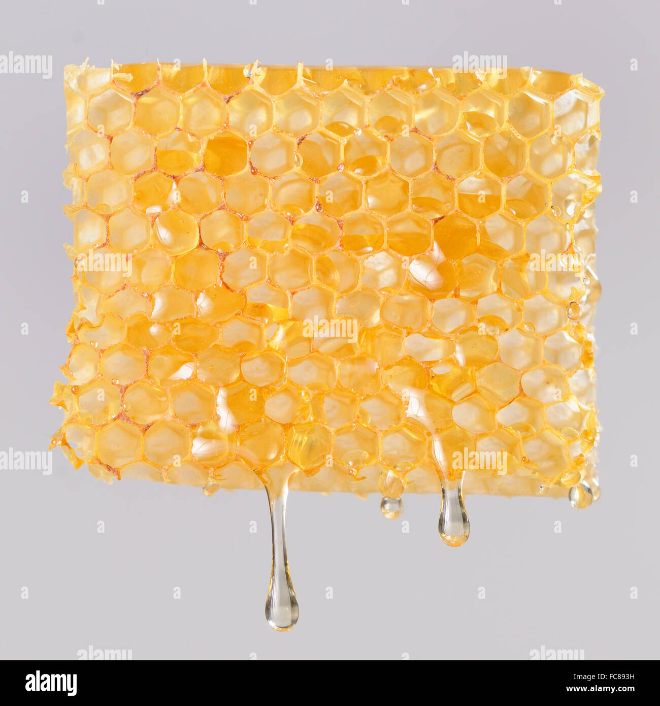 Honey dripping on honeycombs Stock Photo