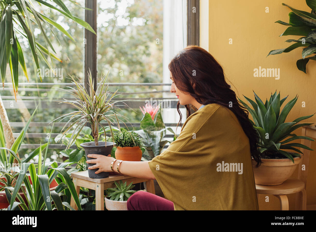 Caucasian woman holding potted plant Stock Photo - Alamy