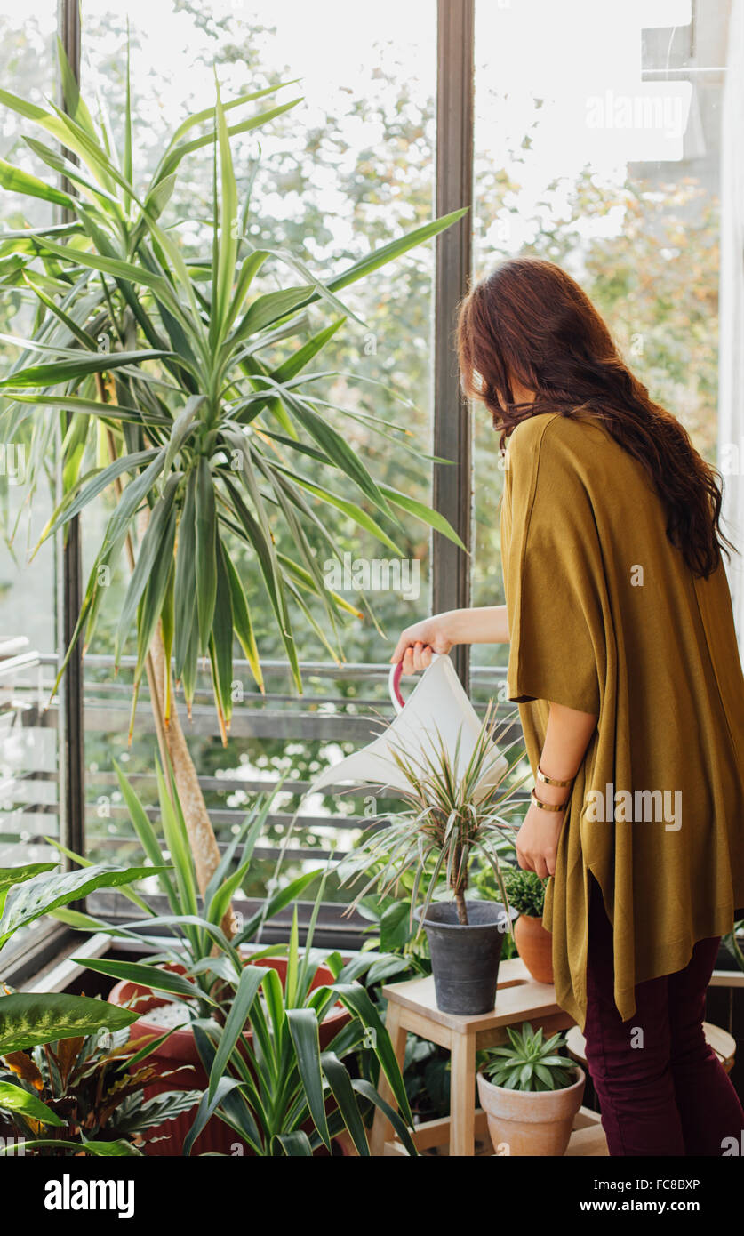 Woman watering potted plant hires stock photography and images Alamy