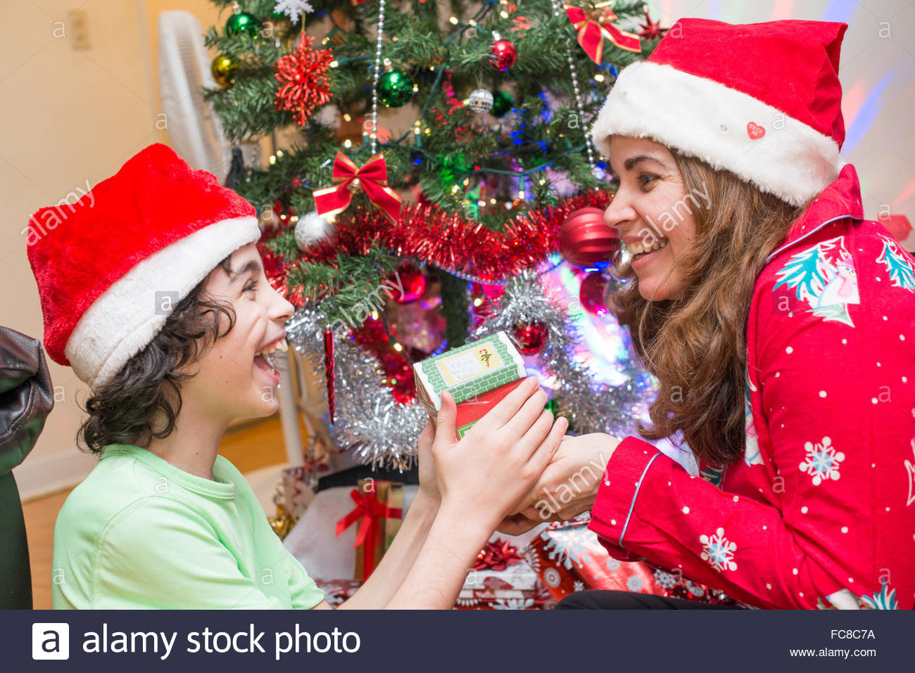 real life family celebrating christmas in their apartment hispanic christian family celebrates the religious holiday - Celebrating Christmas real life family celebrating christmas in their apartment hispanic christian family celebrates the religious holiday - Celebrating Christmas