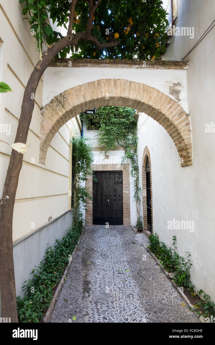Narrow entrance in Cordoba street in Spain Stock Photo
