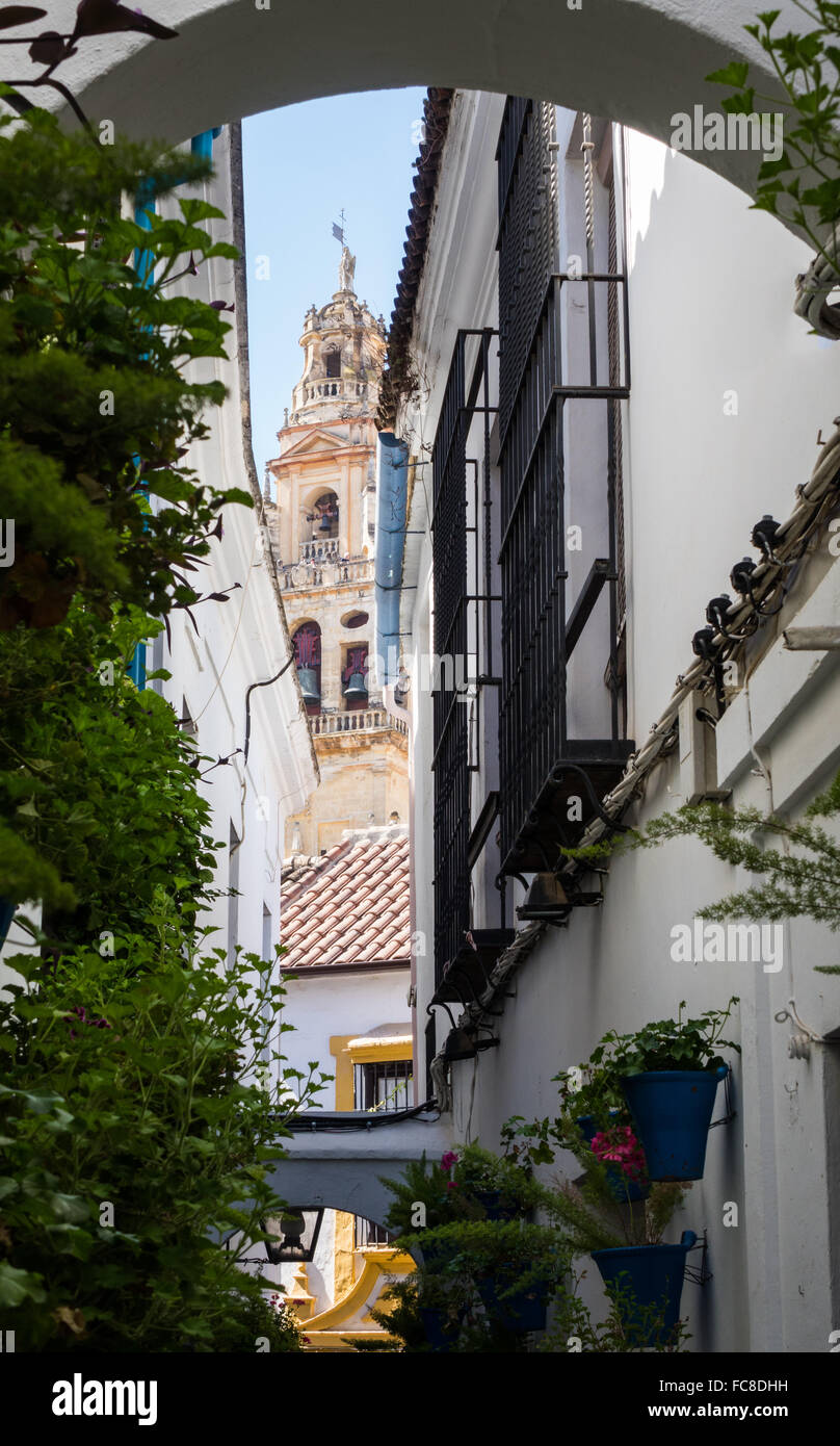 Street of Flowers in Cordoba in Spain Stock Photo - Alamy