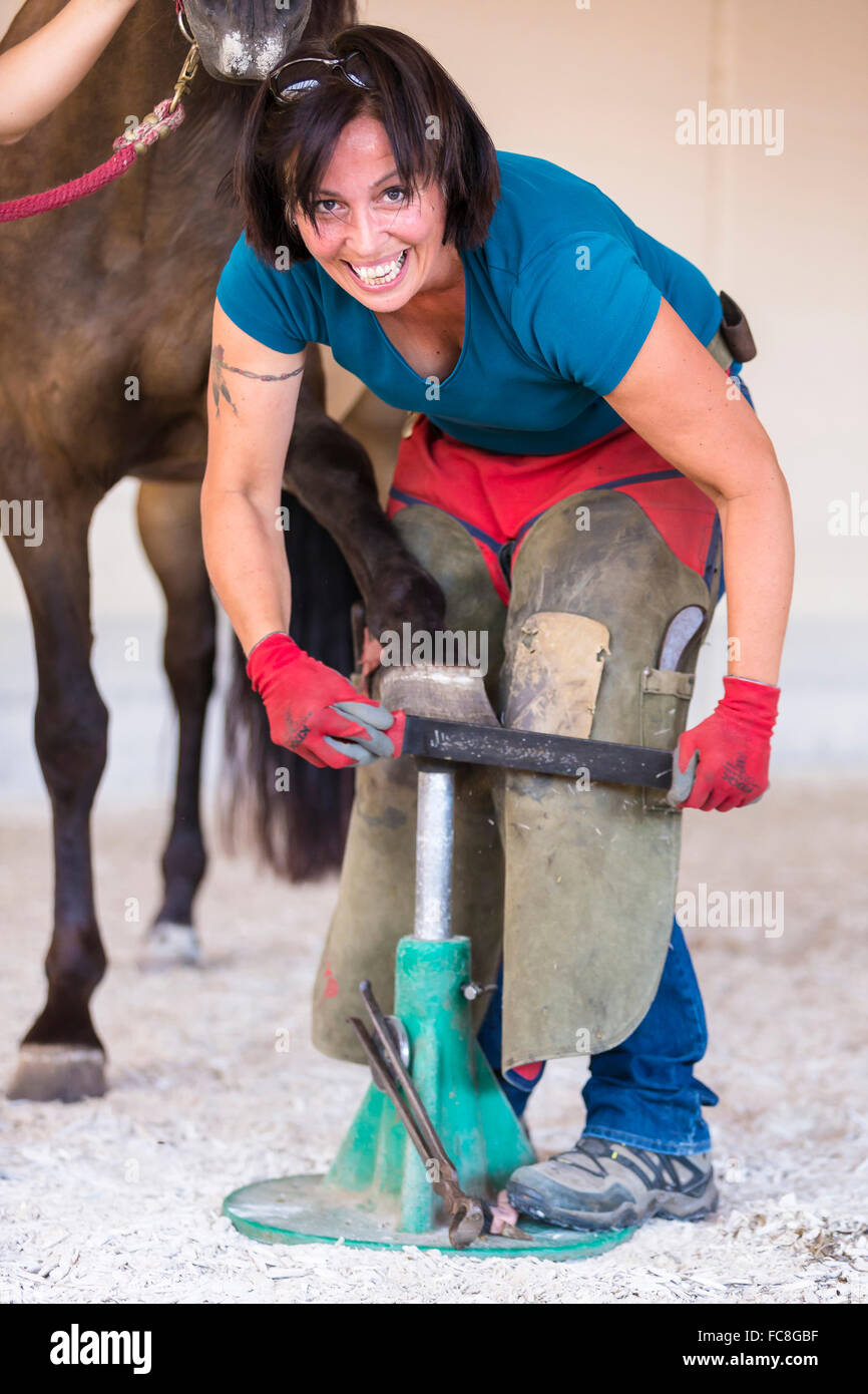 Domestic horse, foot care Ferrier raspeling a hoof. Germany Stock