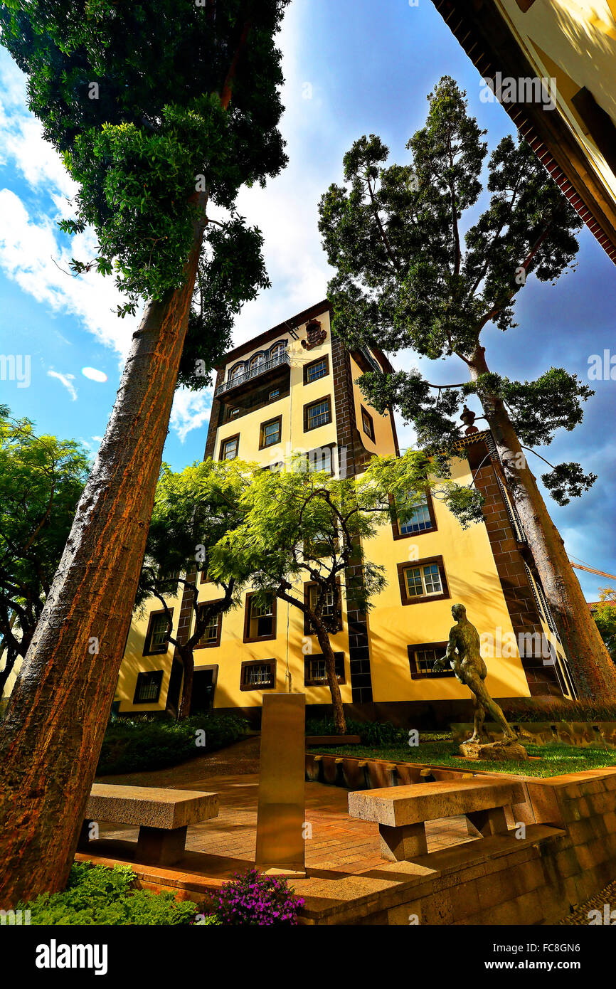 Madeira Funchal city apartments flats trees blue sky Stock Photo Alamy