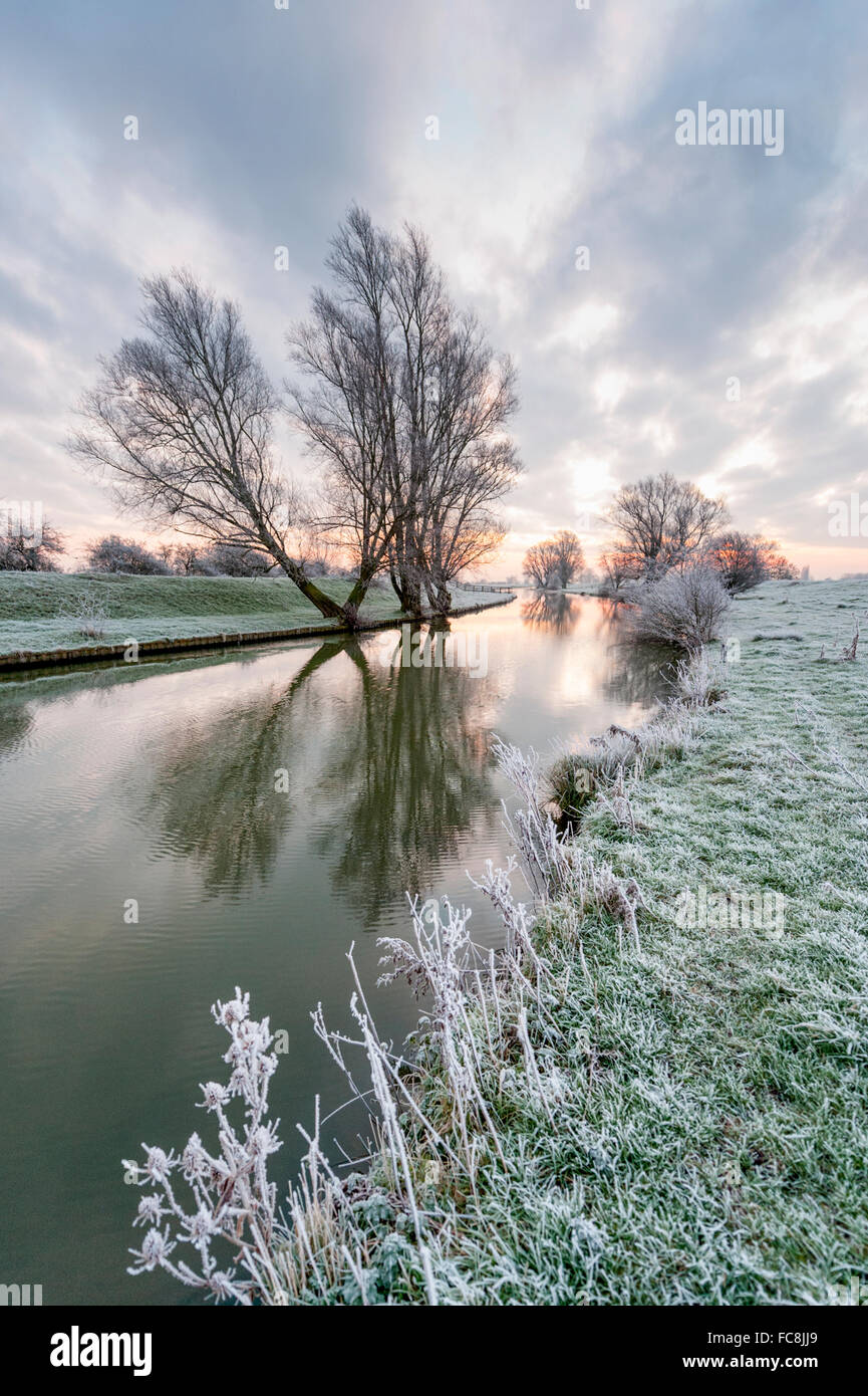 Willingham, Cambridgeshire UK. 21st January 2016. UK Weather A frosty