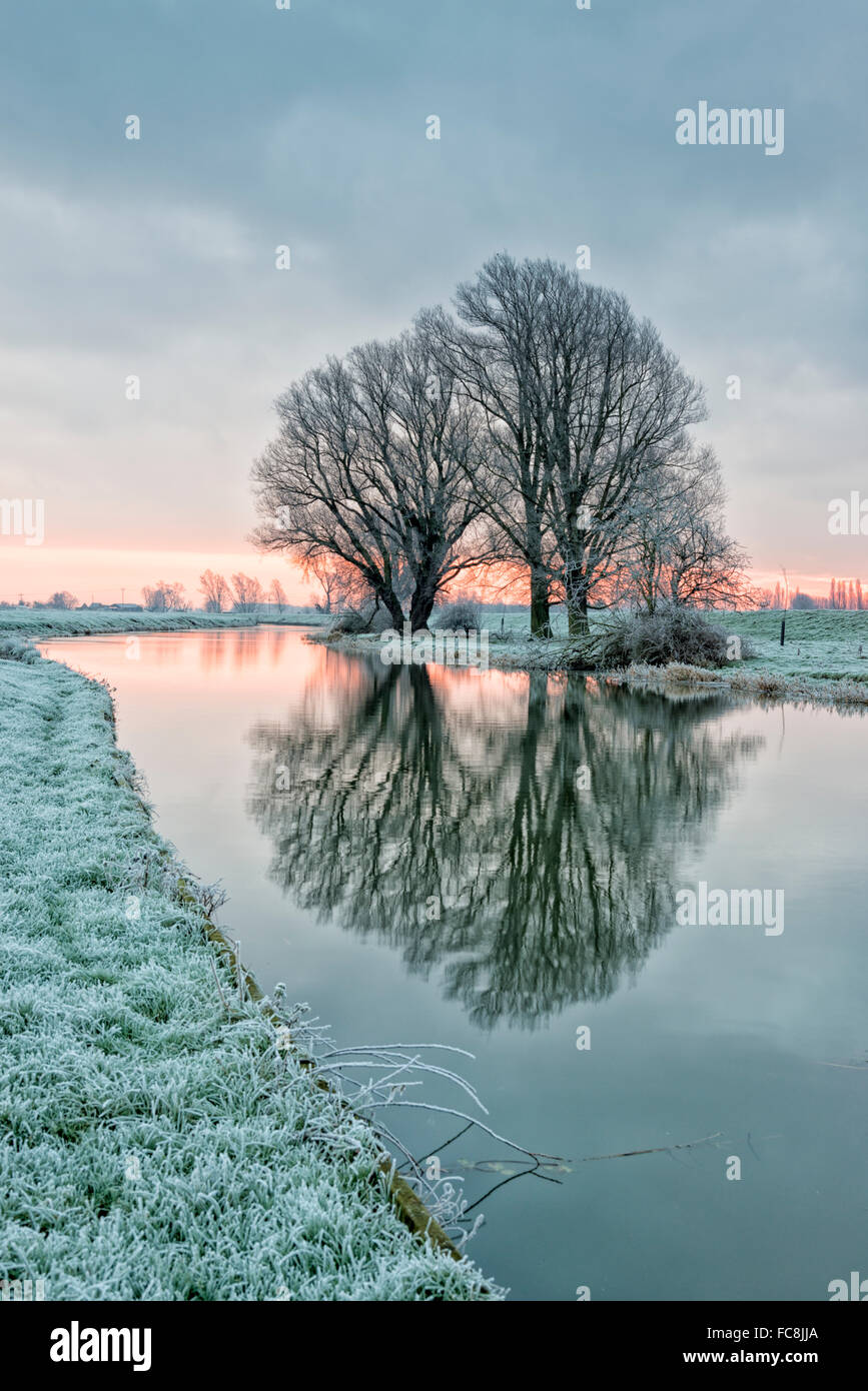 Willingham, Cambridgeshire UK. 21st January 2016. UK Weather A frosty