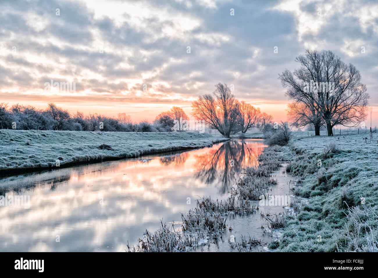 Willingham, Cambridgeshire UK. 21st January 2016. UK Weather A frosty