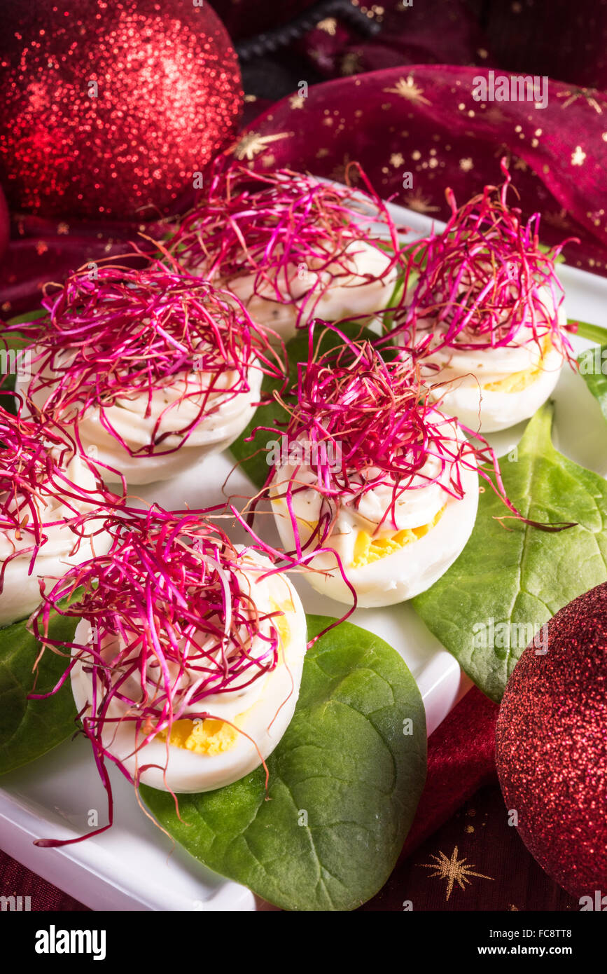 boiled eggs with red beet sprouts Stock Photo Alamy