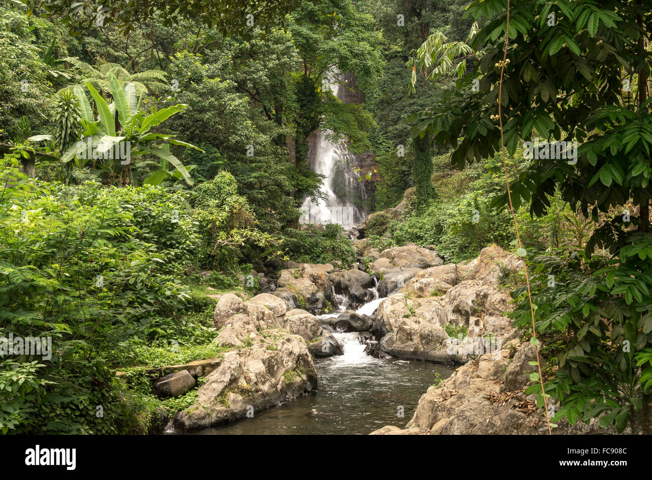 tourists watching the Gitgit Waterfall, Bali, Indonesia Stock Photo