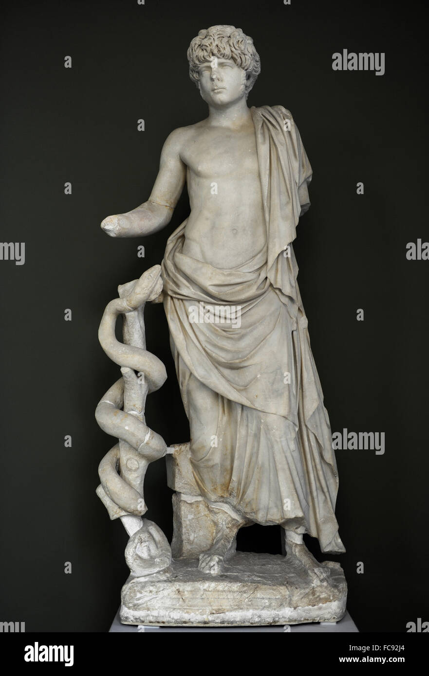 Roman Male Statues