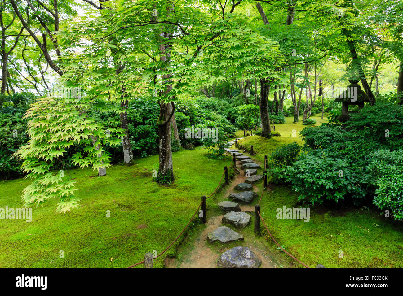 Okochi Sanso Villa garden, stone path through vibrant leafy trees with moss covered ground in summer, Arashiyama, Kyoto, Japan Stock Photo