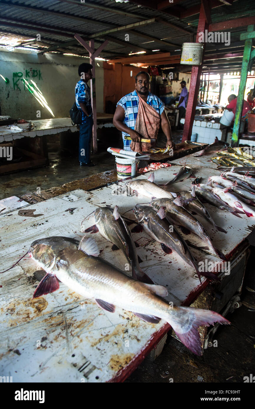 Fish for sale in market hires stock photography and images Alamy