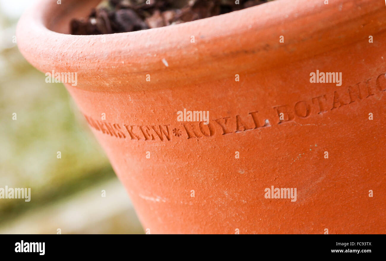A terracotta plant pot at Kew Gardens Royal Botanical Gardens London