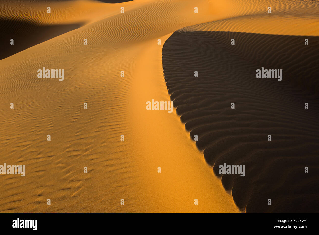 Sand dune crest, light and shadow, Rub' al Khali or Empty Quarter, United Arab Emirates Stock Photo