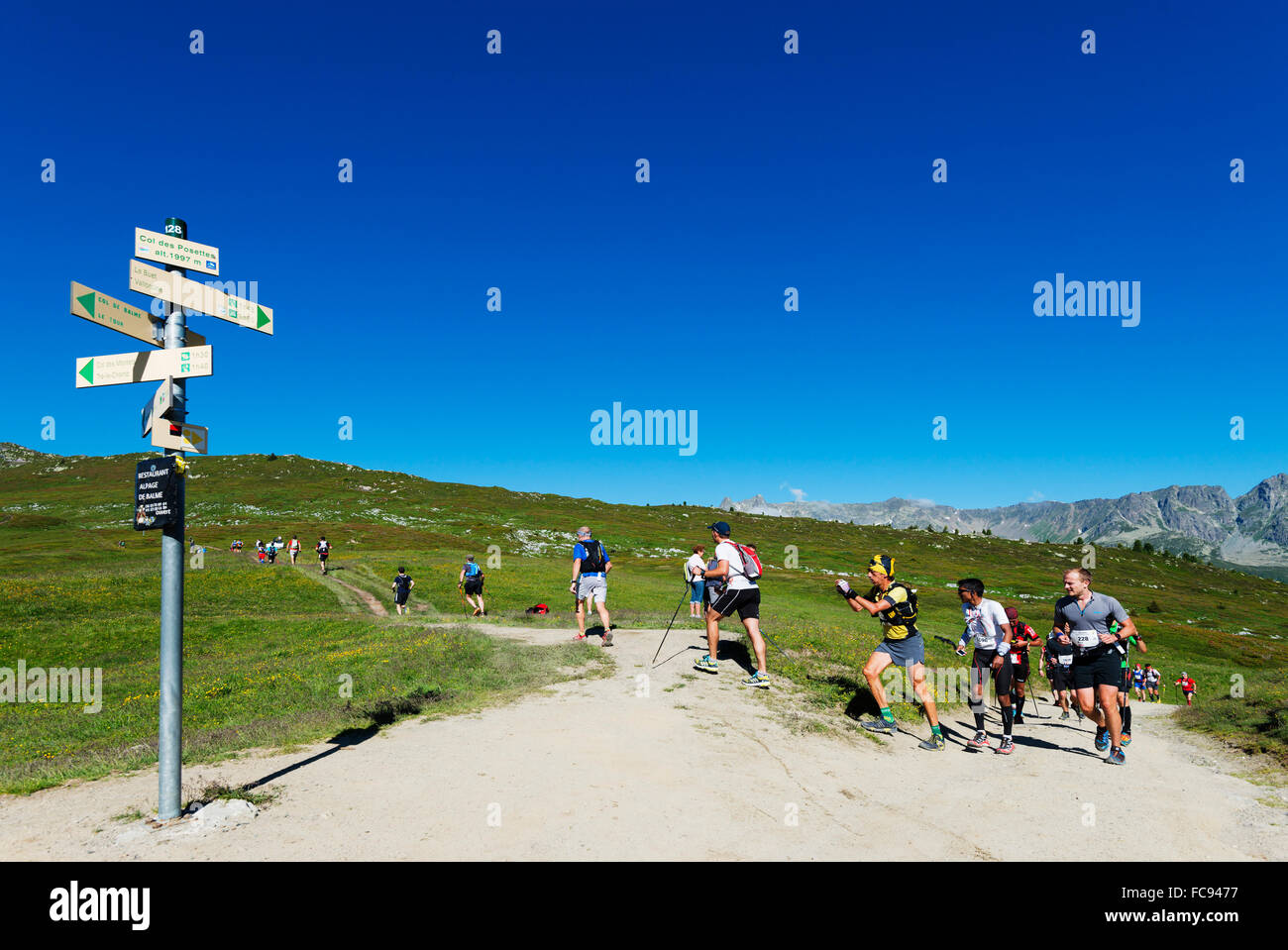 Chamonix trail running marathon, Chamonix, Rhone Alps, Haute Savoie, French Alps, France, Europe Stock Photo