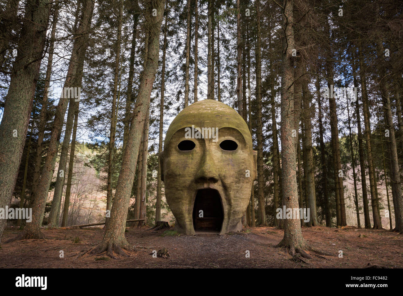 Silva capitalis, forest head sculpture, part of Kielder Water and Forest Park art trail, Northumberland, England, United Kingdom Stock Photo
