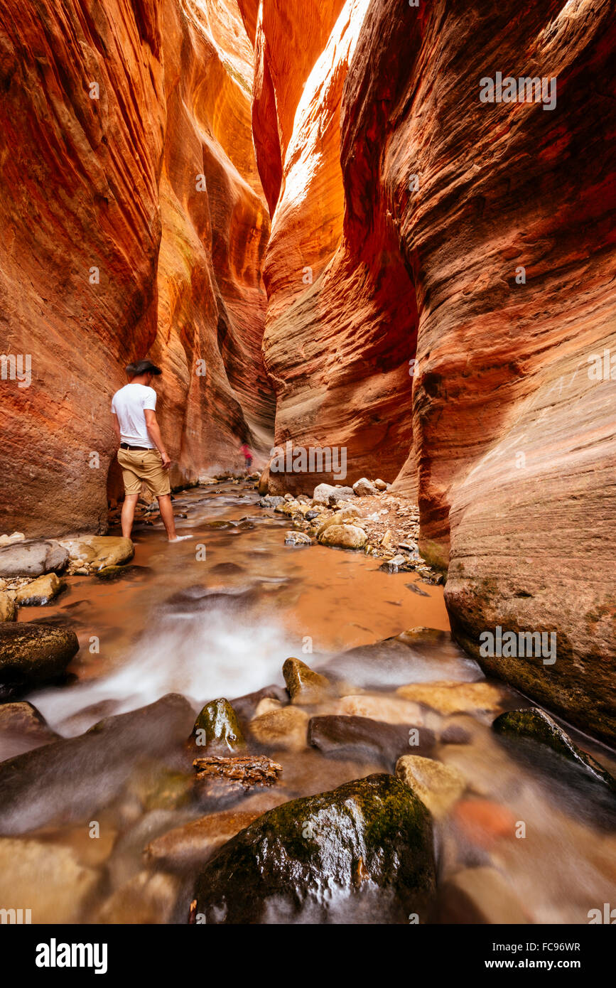 Kanarra Creek Canyon, Kanarraville, Utah, United States of America