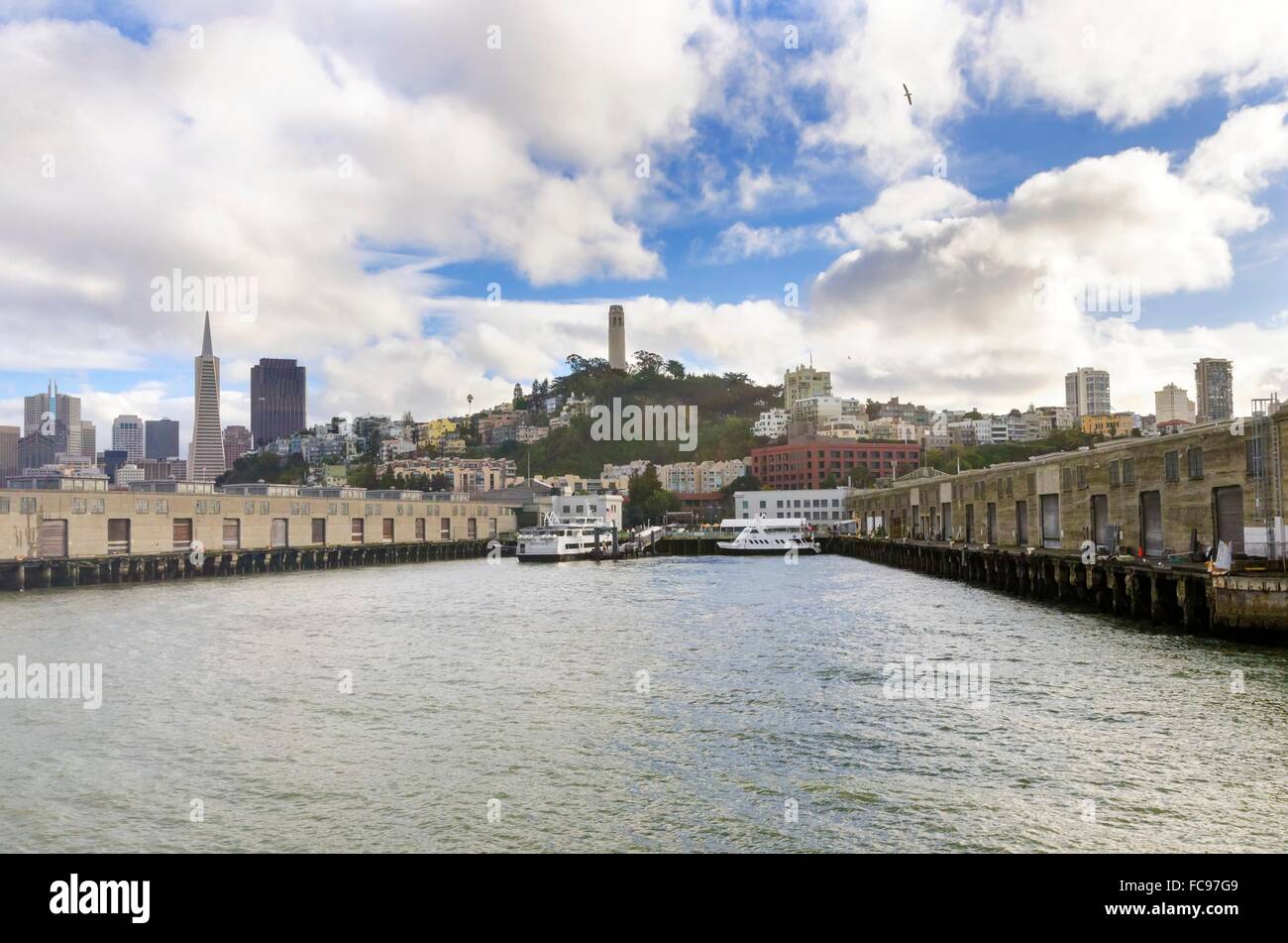 Pier 33 on The Embarcadero at Fisherman's wharf and Coit tower in San Francisco, California, United States. The pier where touri Stock Photo