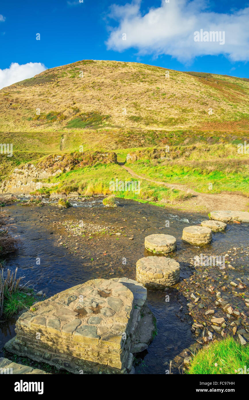 Steps stone near Hartland Point, Devon Stock Photo Alamy