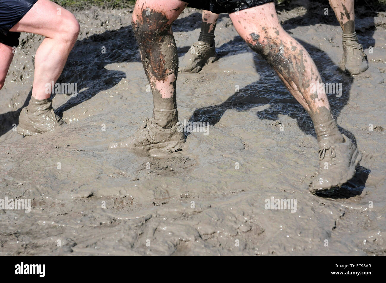 Muddy runners at obstacle course race, UK Stock Photo Alamy