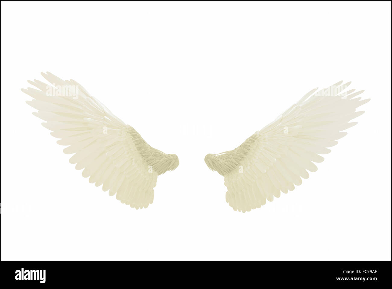 angel wings isolated on white background Stock Photo - Alamy