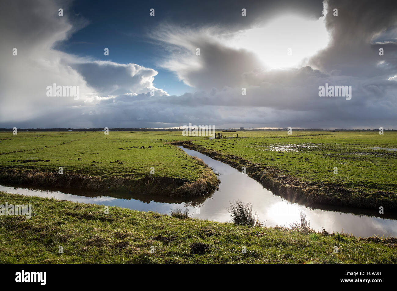 Netherlands, Putten, Arkemheen Polder, Backlight Stock Photo