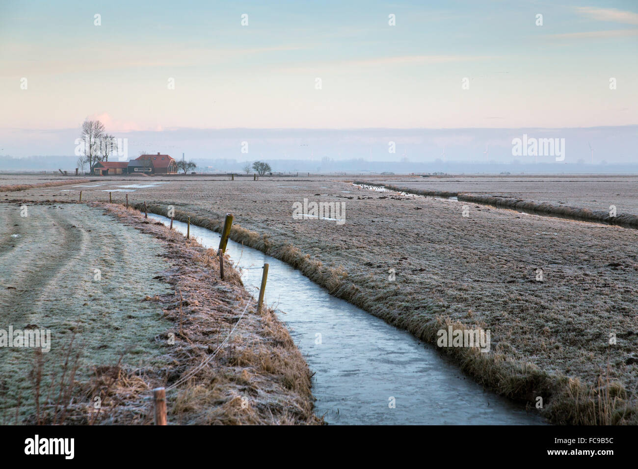 Netherlands, Nijkerk, Arkemheen Polder. Farm, frost, ditch Stock Photo