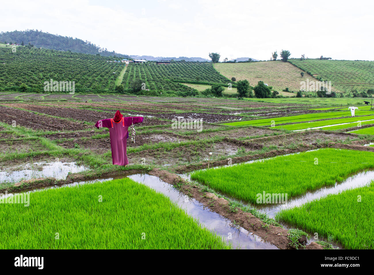 Field jacket hi-res stock photography and images - Alamy